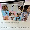 Catseye Dog Gallery Card Holder